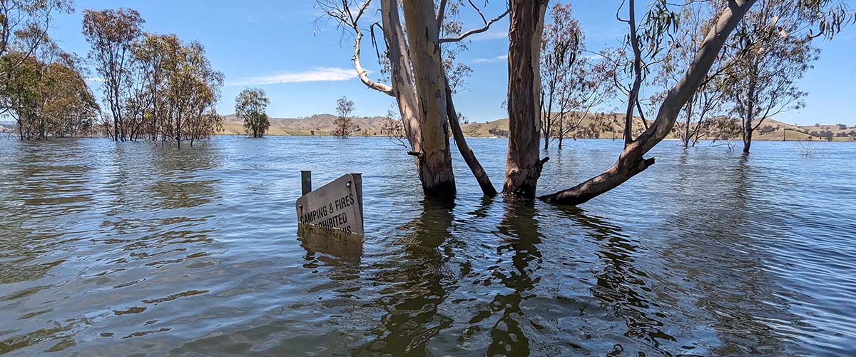 A flood, a road sign and trees are in the water