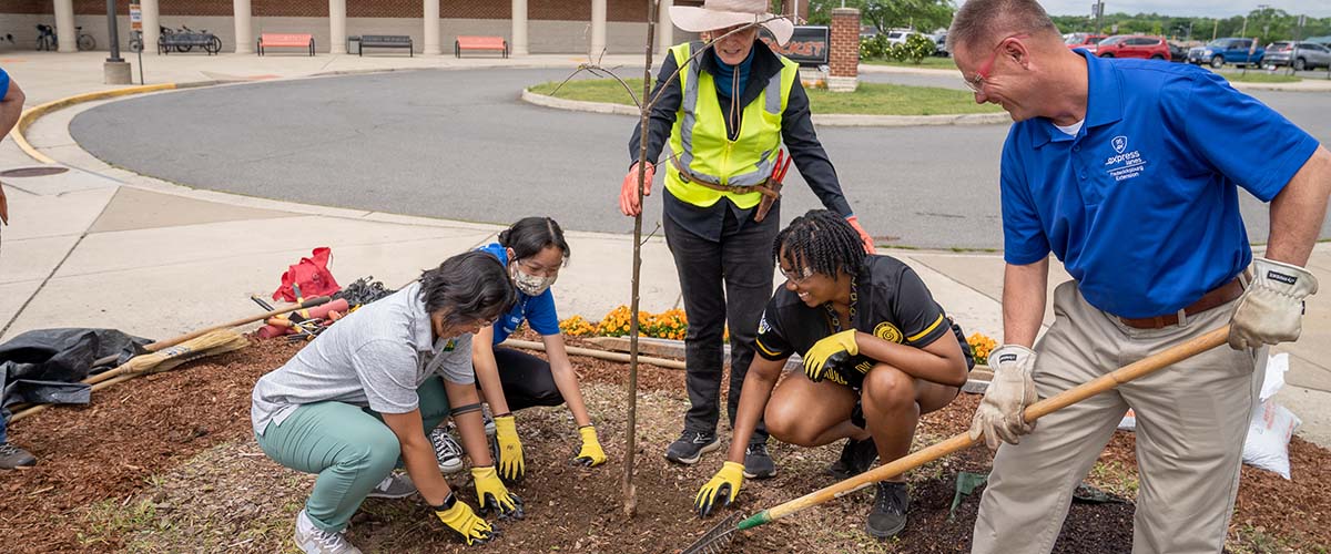 People planting a tree